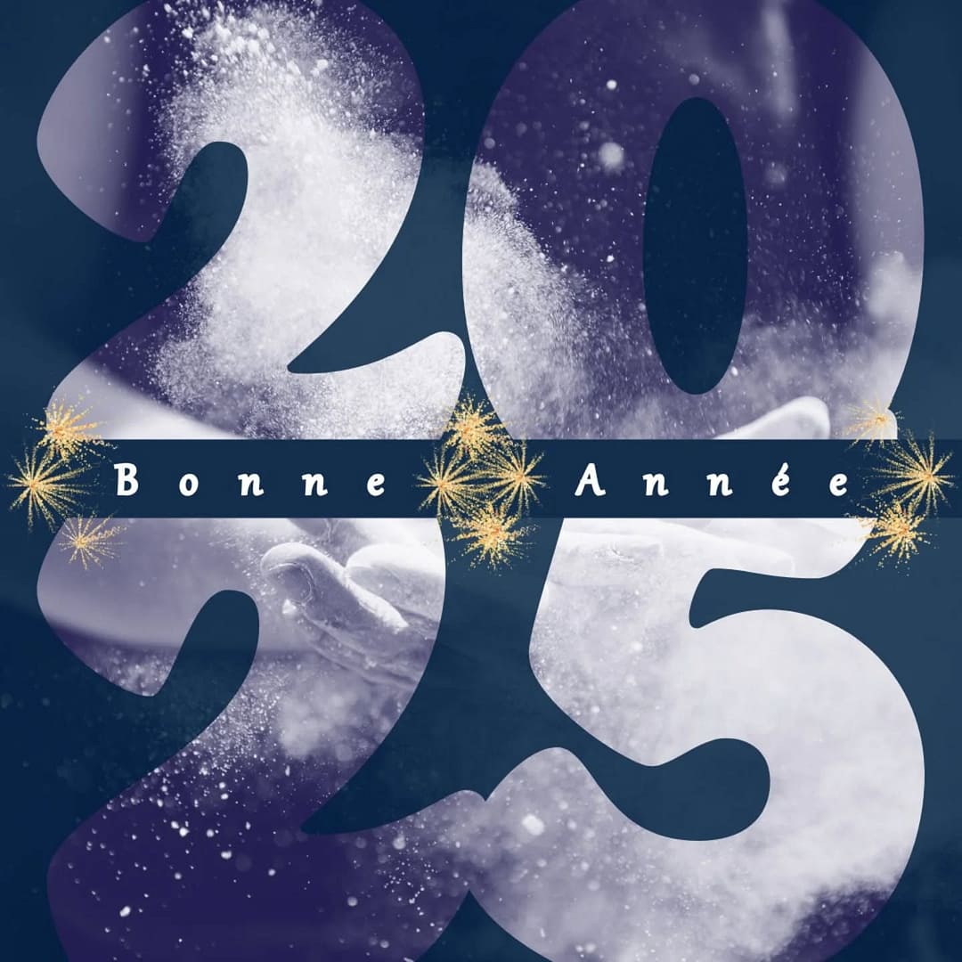 ✨️ Bonne année 2025 ✨️